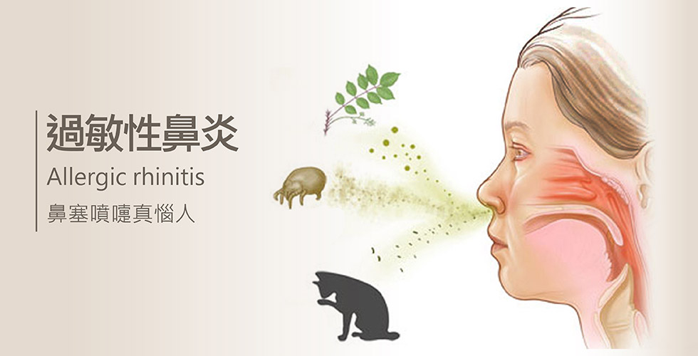 過敏性鼻炎意思圖