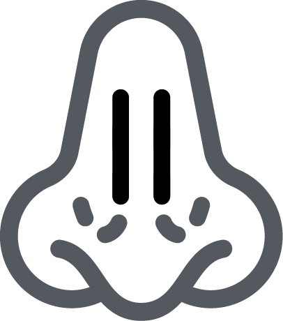 空鼻症icon-iskinnose